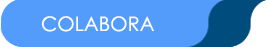 Actividades de la Fundación Esparza Monforte